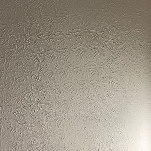 Meet your Posher, Vaishnavi